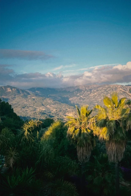 Tramuntana Haze